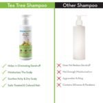 Mamaearth Tea Tree Anti Dandruff Shampo 250ml - Image 3