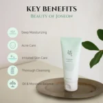 Beauty of Joseon Refreshing Green Plum Cleanser – 100ml - Image 3