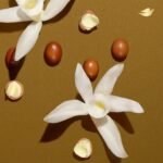 Dove Shea Butter Beauty Bar Soap – 135gm - Image 3