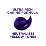 L’Oreal Elvive Colour Protect Anti-Brassiness Purple Hair Mask – 250ml - Image 3