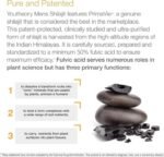 Youtheory Mens Shilajit – 60 Capsule - Image 2