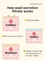 Cosrx Advanced Snail Radiance Dual Essence 80ml - Image 3