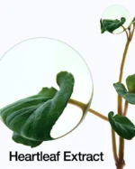 Anua Heartleaf 77% Soothing Toner 250ml - Image 5