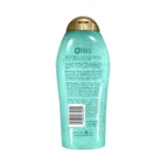 Ogx HYDRATION + Sea Kelp & Hyaluronic Acid Body Scrub & Wash 577ml - Image 2